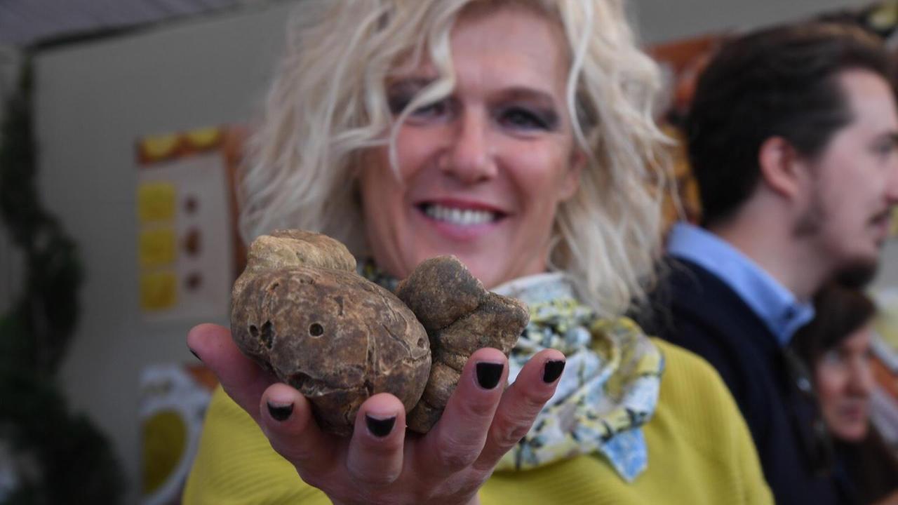 Re tartufo sale sul trono, per tre weekend San Miniato celebra la sua prelibata eccellenza