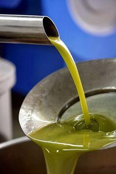 Olio nuovo e vino novello, un’accoppiata vincente