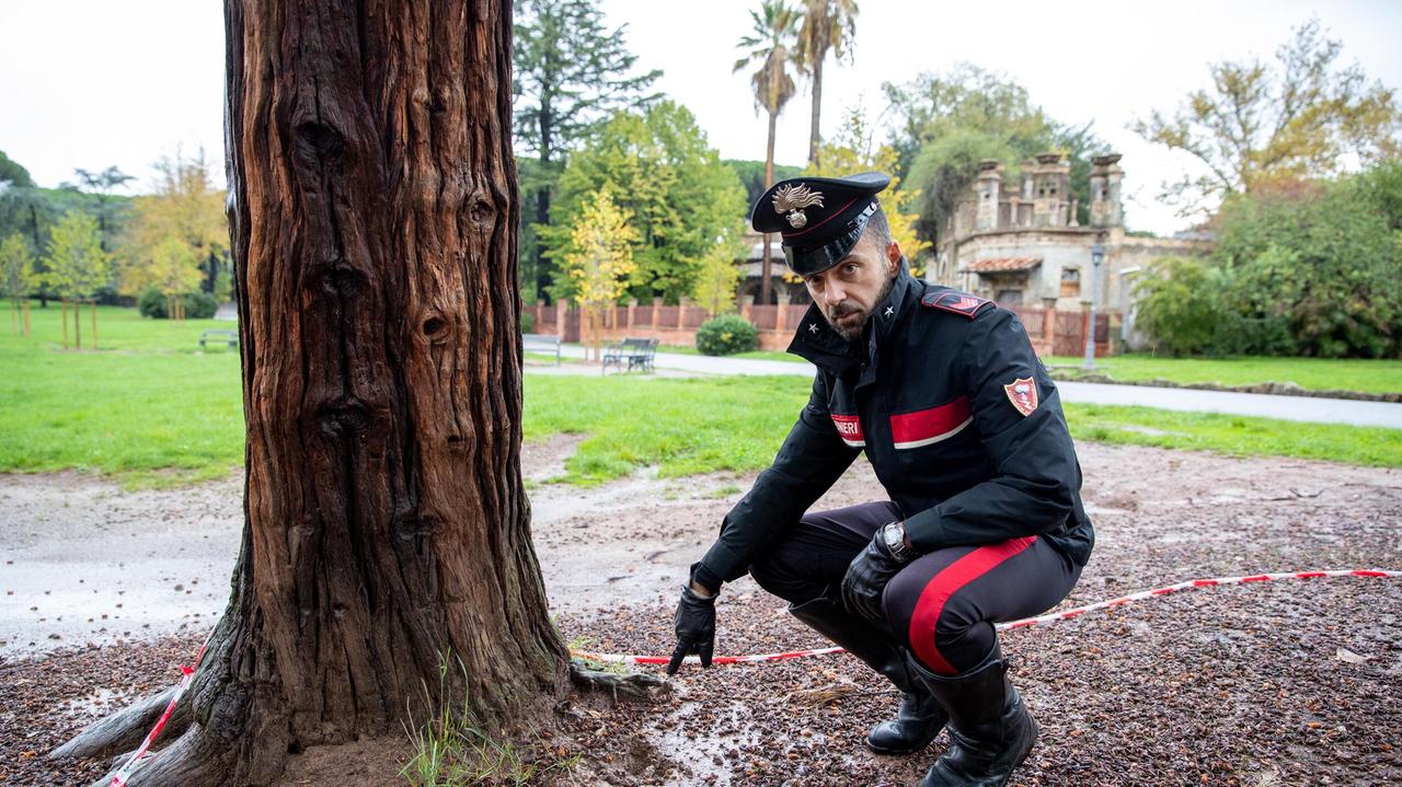 Un carabiniere indica il punto dove è stata trovata la bomba a mano (foto Paolo Nucci)