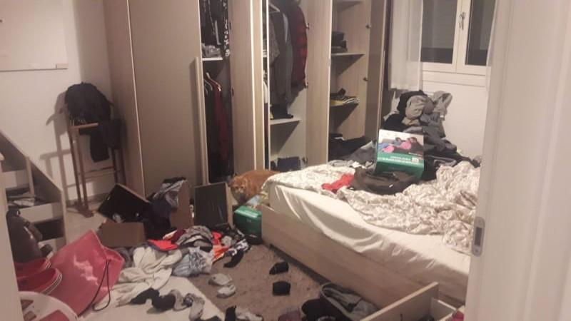 Modena, si arrampicano ed entrano in casa: presi i ladri 
