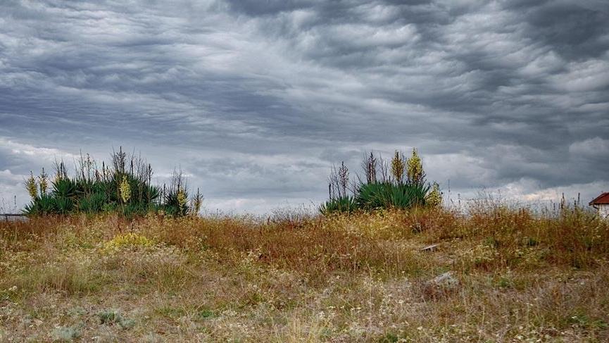 Ecco le dune di Vittoria Apuana, il cuore selvaggio della Versilia