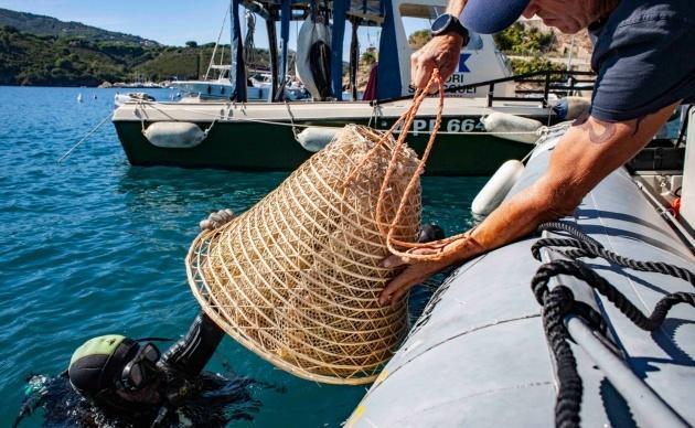 Nesos, il vino subacqueo prodotto da Arrighi sarà degustato a Firenze 
