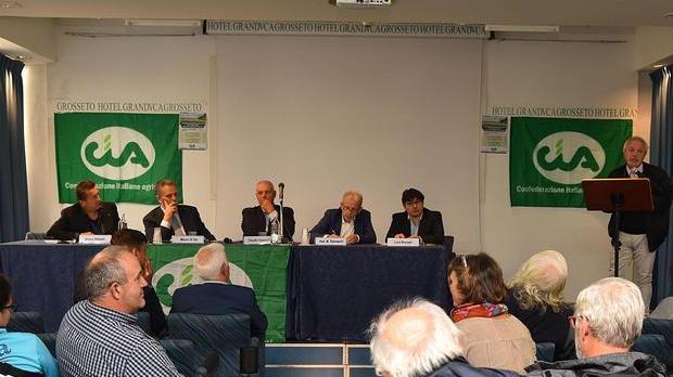 Crollo pastorizia L’allarme di Cia «Capi dimezzati»