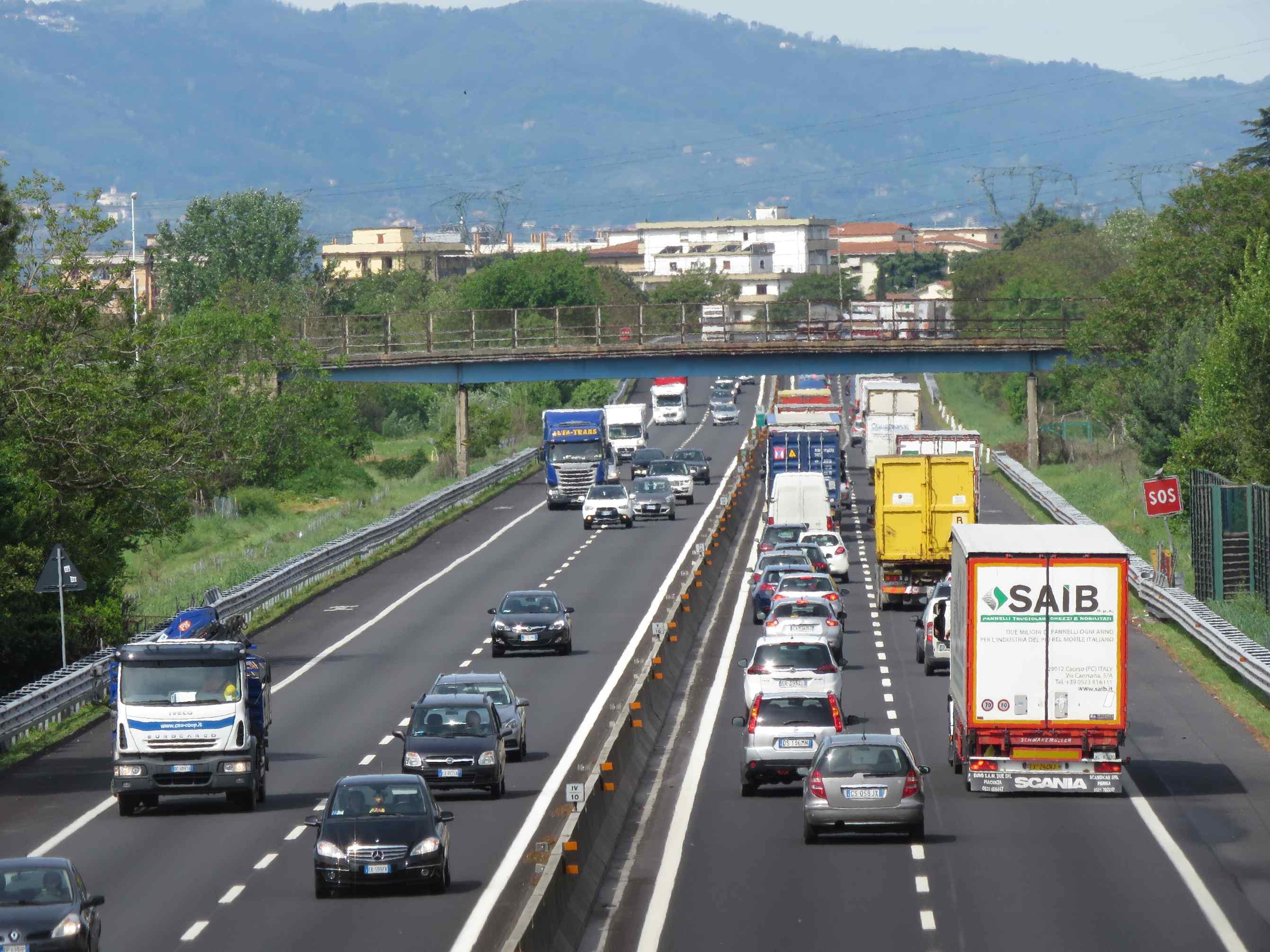 Si catturano i caprioli, A11 chiusa per almeno 3 ore: i consigli per evitare il caos 