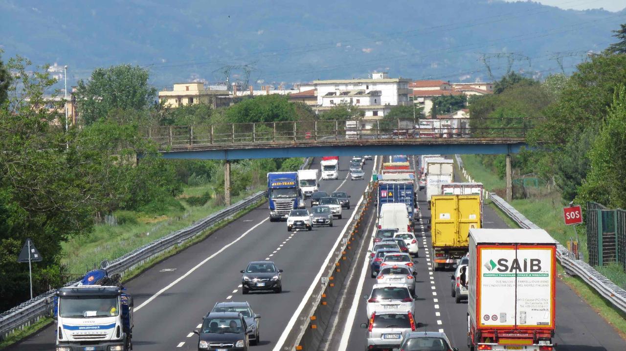 Si catturano i caprioli, A11 chiusa per almeno 3 ore: i consigli per evitare il caos