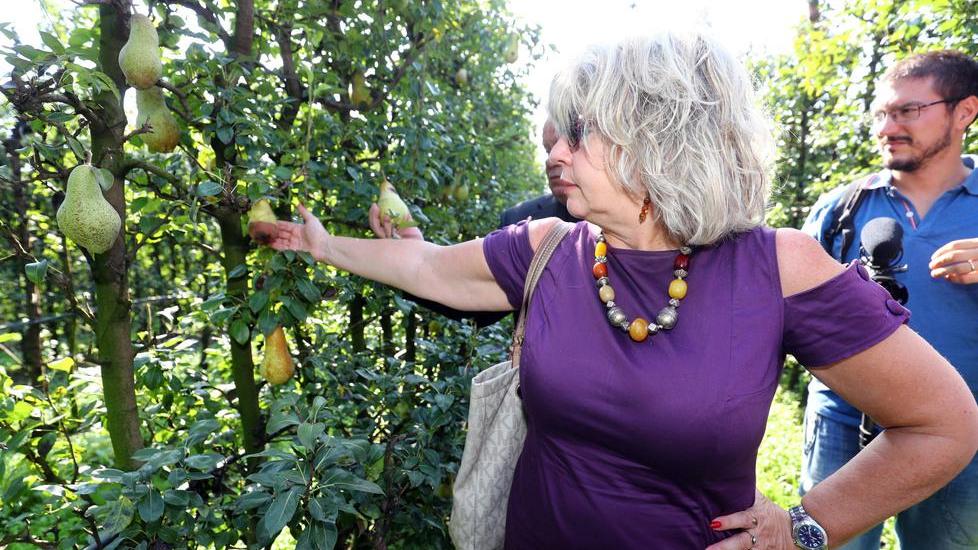 Richiesta di Confagricoltura «Altre risorse per la crisi»
