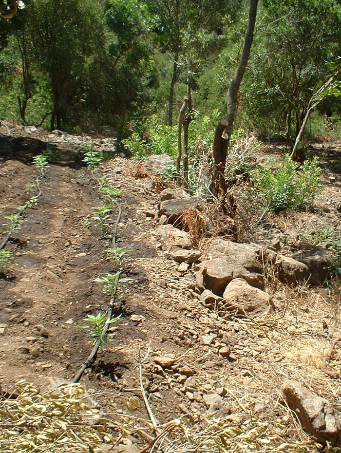 Droga, scarcerati padre e figlio 