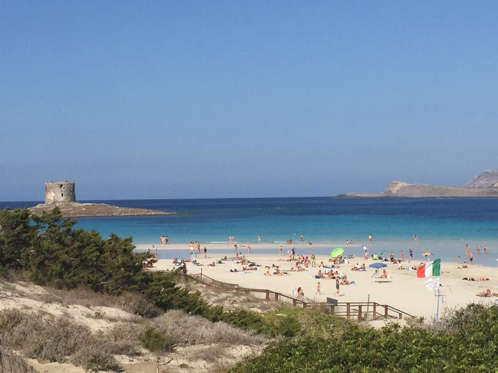 La spiaggia della Pelosa a Stintino