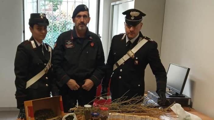 Supermarket del “fumo”: spacciatore ai domiciliari