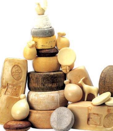 Un corso per diventare assaggiatori di formaggi promosso da Onaf