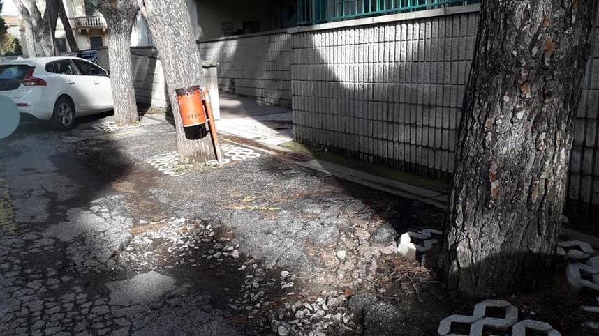 Asfalto colabrodo davanti alle scuole, si allunga l’elenco delle strade ko