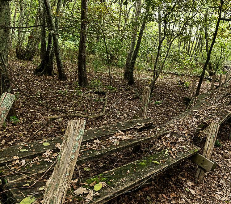 Oasi del Bottaccio, un viaggio nel passato dell’ex lago di Bientina 