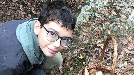 Un’eccezionale fungata bis Ecco dove trovare il “tesoro”