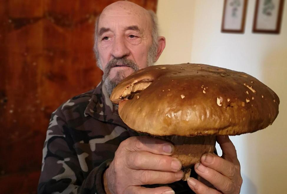 Porcino da record trovato nei boschi