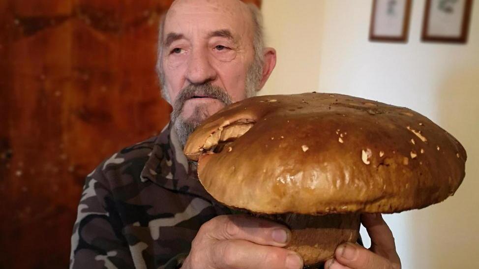 Porcino da record trovato nei boschi