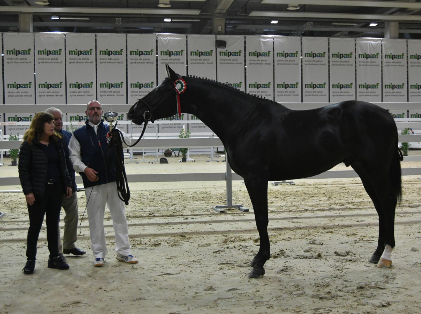 Sardegna protagonista a Fieracavalli 