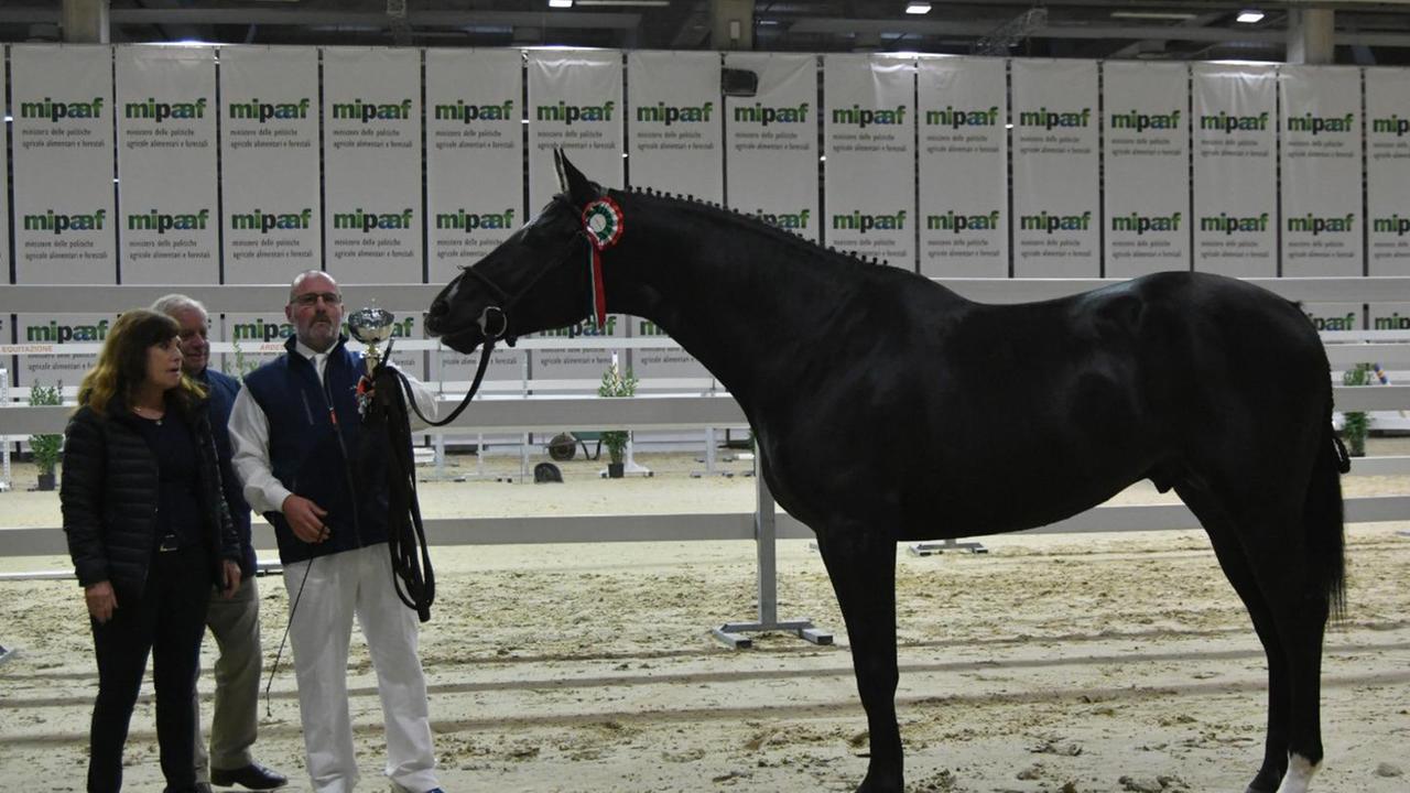 Sardegna protagonista a Fieracavalli
