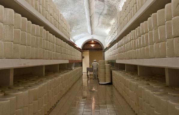 Il Consorzio alla Bellanova: creiamo il sistema europeo 