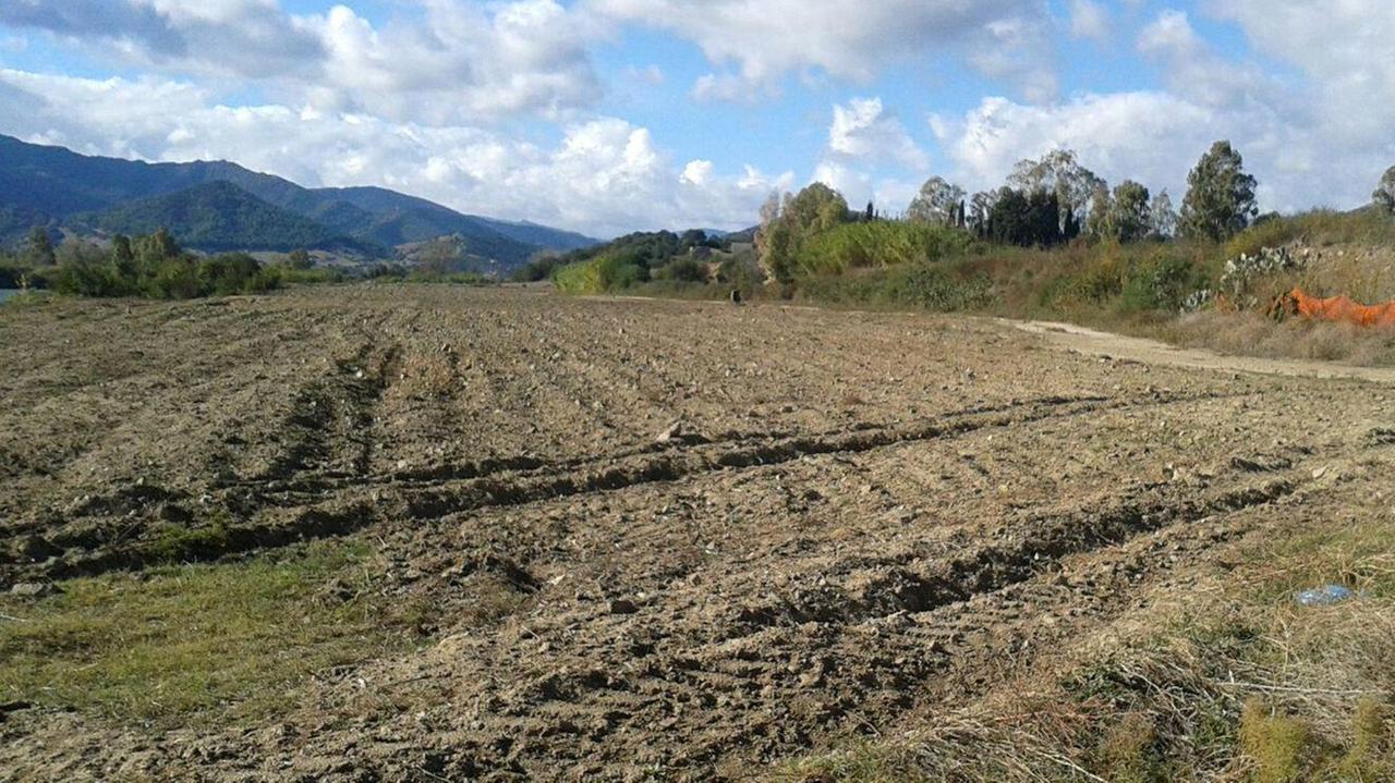 Nitrati in agricoltura: per la Sardegna tre contestazioni dell'Ue