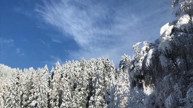 Domani altri 20-70 cm neve in Alto Adige