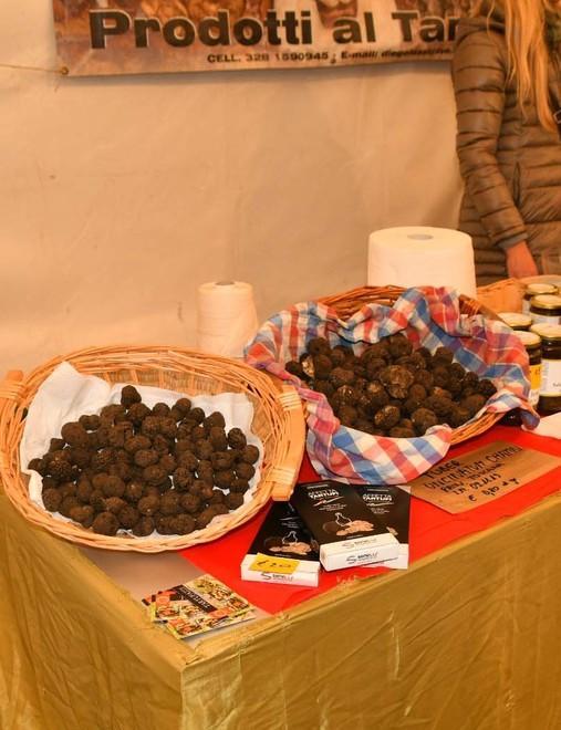 Seconda giornata a Cavola in compagnia del tartufo 