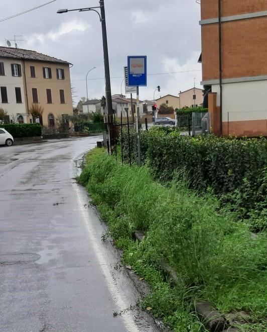 Martinelli: «Erba alta in via di San Donato»