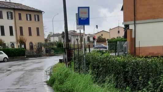 Martinelli: «Erba alta in via di San Donato»