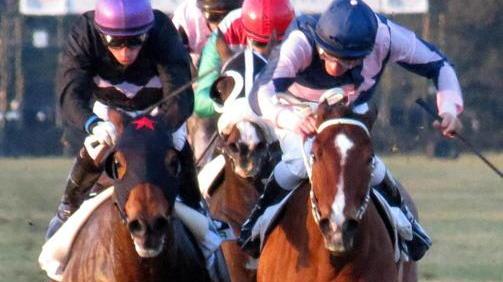 Premio “I Sellai di Pisa” la storia di Barbaricina in pista a San Rossore