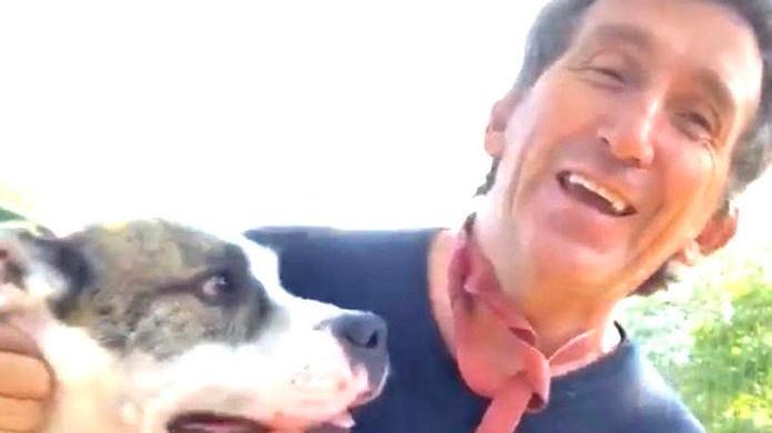 «I dogo diventano pericolosi Responsabile sarà il sindaco»