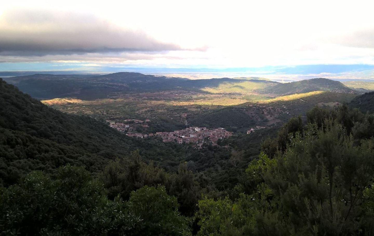 Un cantiere forestale per ridare ossigeno a Ollolai 