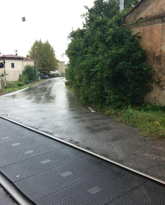 Rigoli, degrado e erba alta pericoli per auto e pedoni 