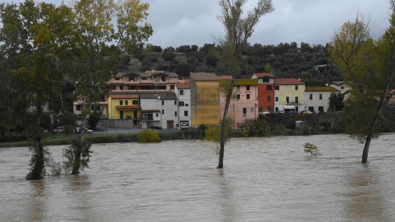 Istia d'Ombrone, domenica 17 novembre (Foto Agenzia Bf)