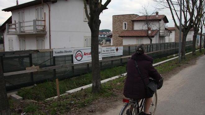«Resta negativo il giudizio su Mallegni»