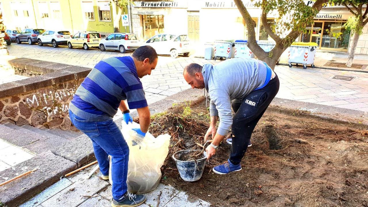 I residenti rimettono a nuovo le aiuole di via delle Muraglie