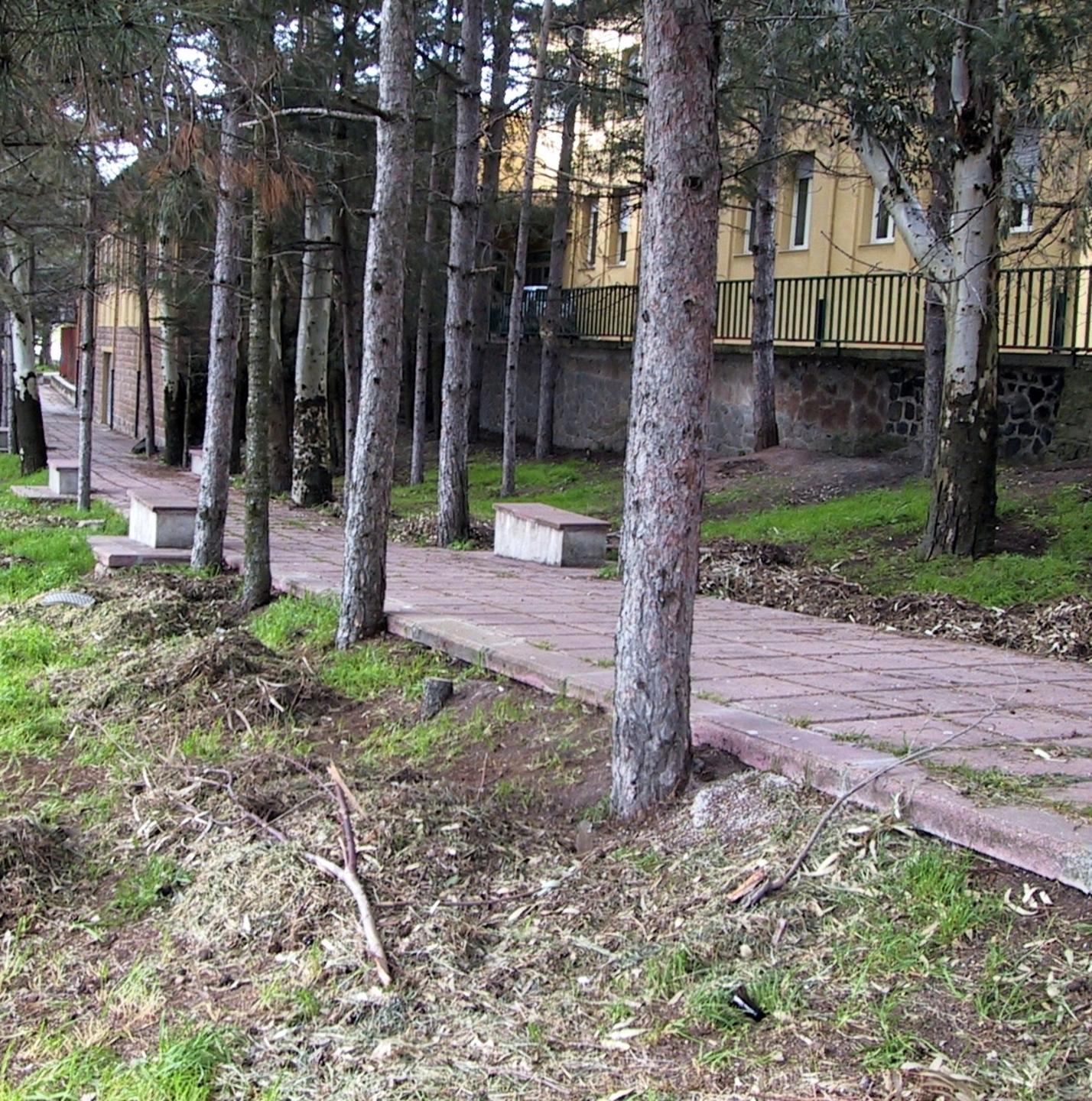 Osilo, patto con Forestas per la pulizia del verde 
