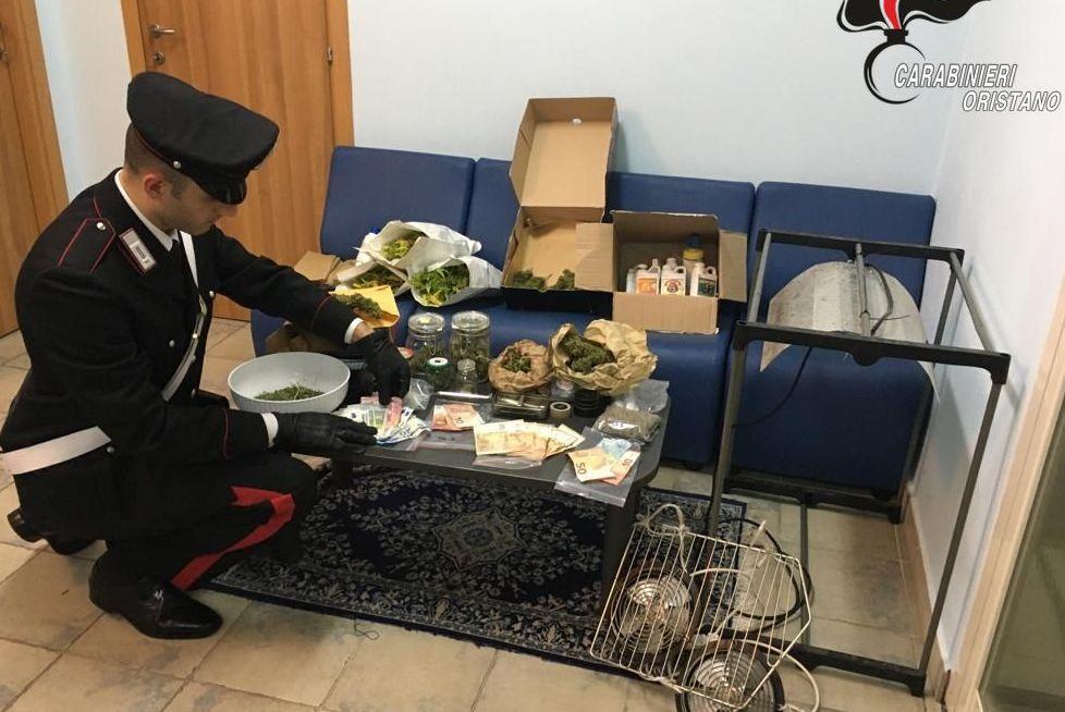 Marijuana in casa: arrestato 27enne 