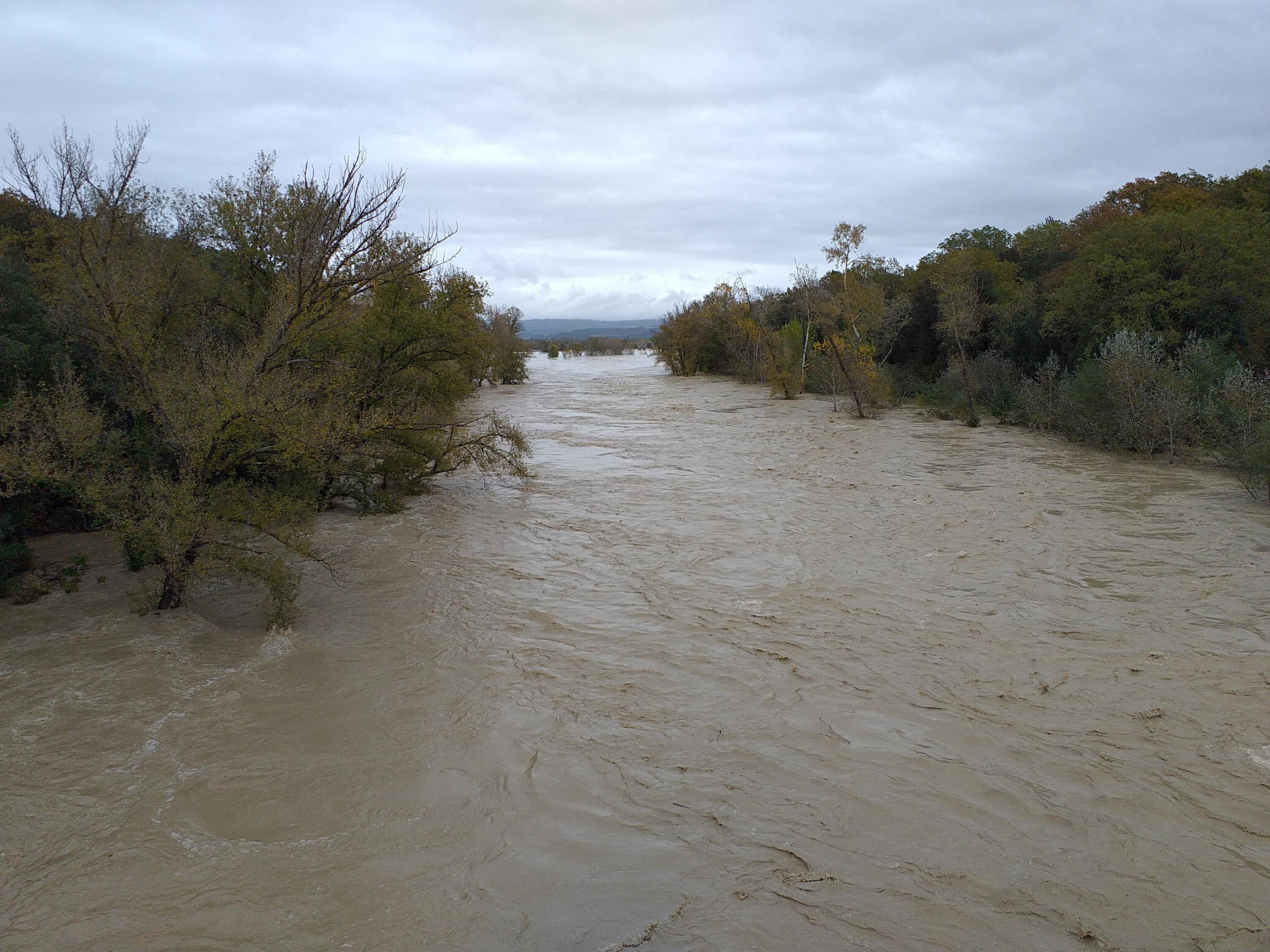Il fiume Ombrone in un'immagine di domenica (foto Bf)