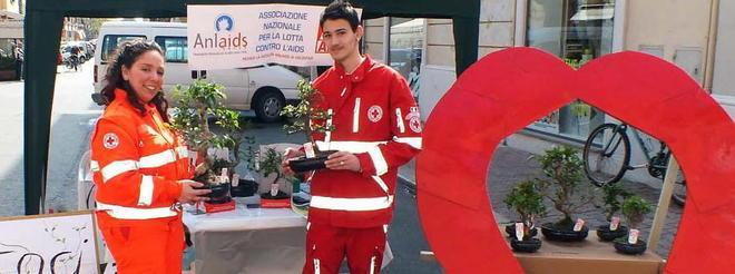 Un bonsai contro l’Aids