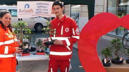 Un bonsai contro l’Aids