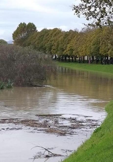 La piena alleggerita dall'apertura della cassa d’espansione a Roffia
