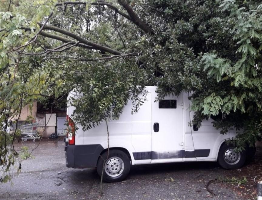 Frane e strade chiuse La città si è risvegliata con fossi e fiumi in piena 