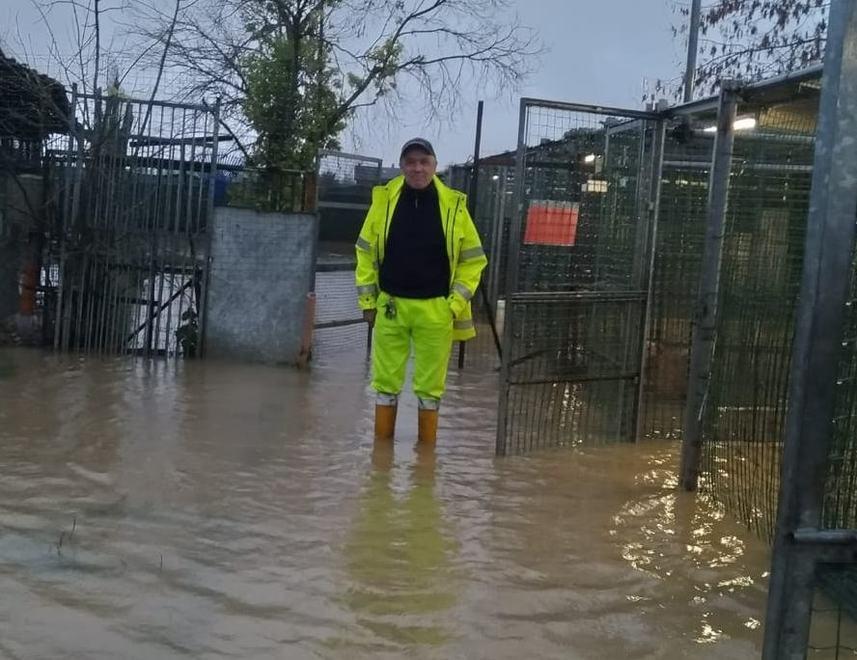 Famiglia evacuata Cani salvati dall’acqua 