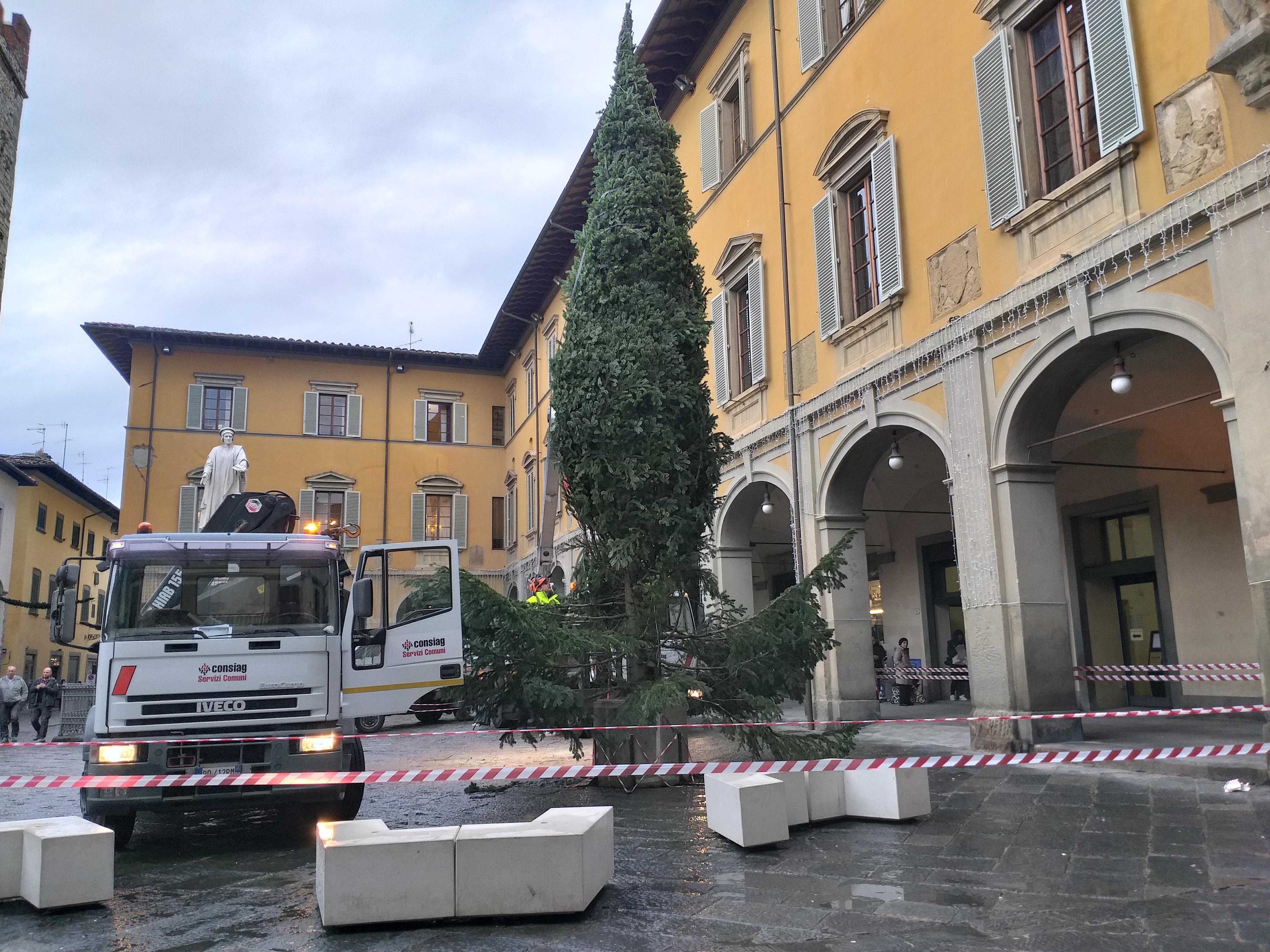 L'albero di Natale in piazza del Comune