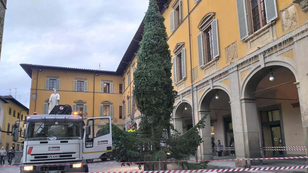 L'albero di Natale in piazza del Comune