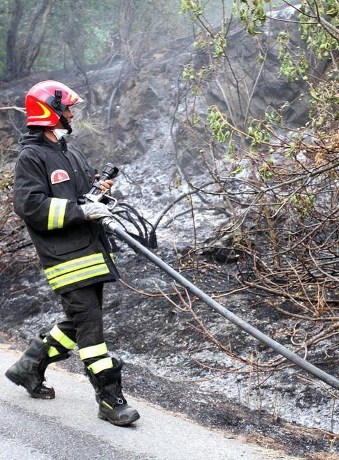 Brucia sterpaglie e il fuoco distrugge due ettari di bosco 