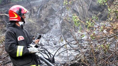 Brucia sterpaglie e il fuoco distrugge due ettari di bosco