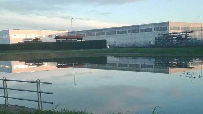 Taglio per alleggerire la portata della piena del Dugal Grande