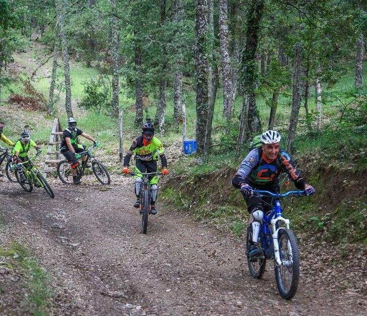 Le foreste della Barbagia occasione di sviluppo 