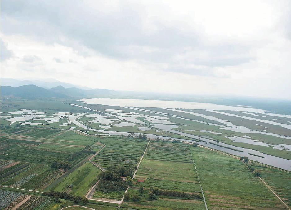 Il padule di Massaciuccoli dall'alto