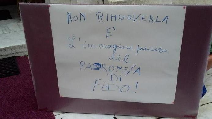 Escrementi di cane sulla soglia del Duomo di Carrara. Il parroco: lasciateli lì